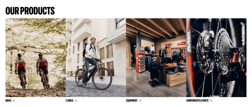 Catalog · Stenger