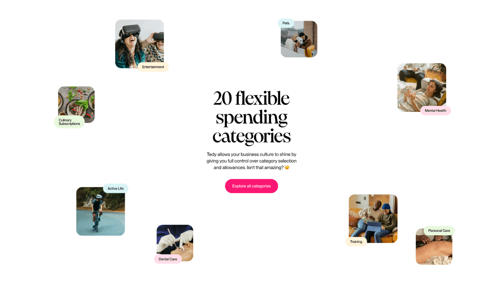 Catalog · Tedy