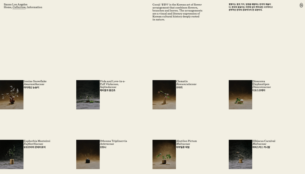 Catalog · Sanso Offerings